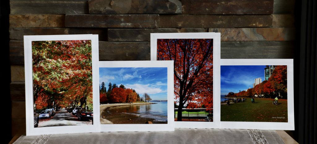 Image gallery image